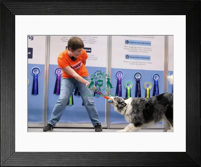Framed Print : APDT UK BTS Framed Print : APDT UK BTS