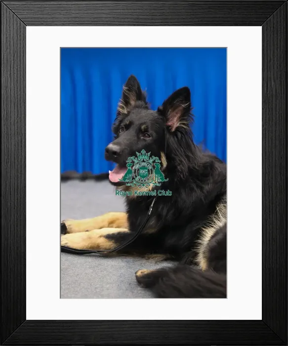Framed Print : APDT UK BTS Framed Print : APDT UK BTS