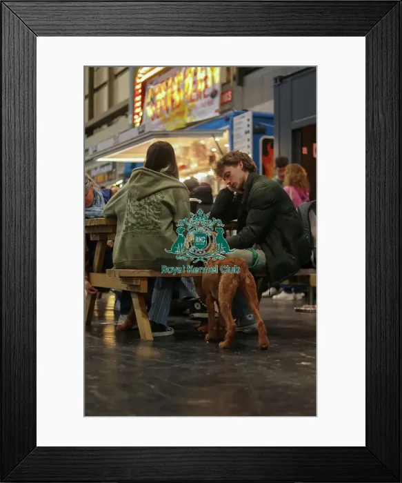 Framed Print : Food at Crufts Framed Print : Food at Crufts