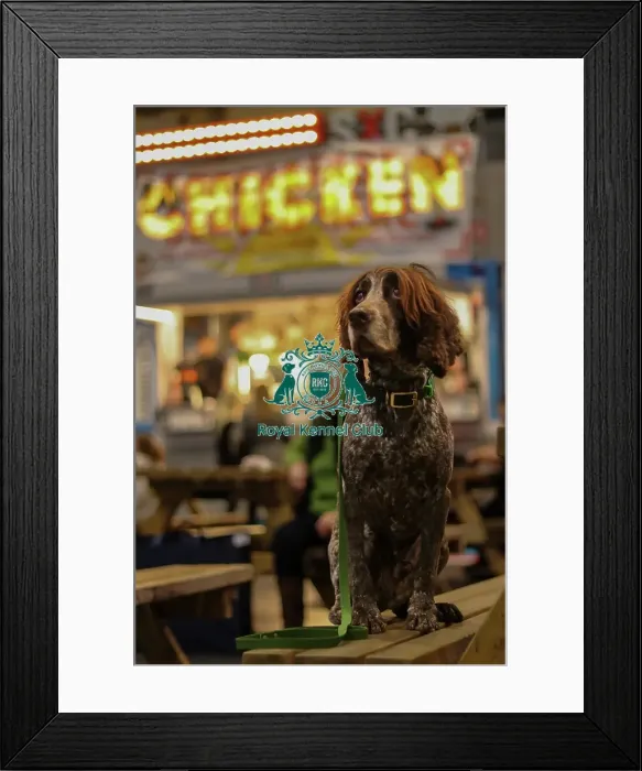 Framed Print : Food at Crufts Framed Print : Food at Crufts