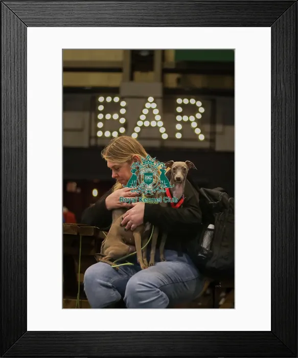Framed Print : Food at Crufts Framed Print : Food at Crufts