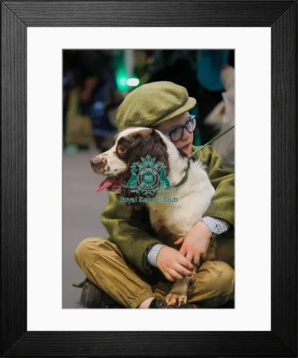 Framed Print : Boy with English Springer Spaniel Framed Print : Boy with English Springer Spaniel