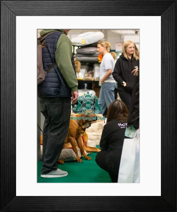Framed Print : Trade stand - dog beds Framed Print : Trade stand - dog beds