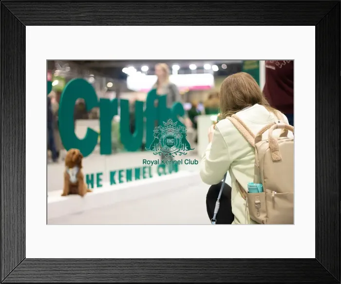 Framed Print : Crufts around the show Framed Print : Crufts around the show