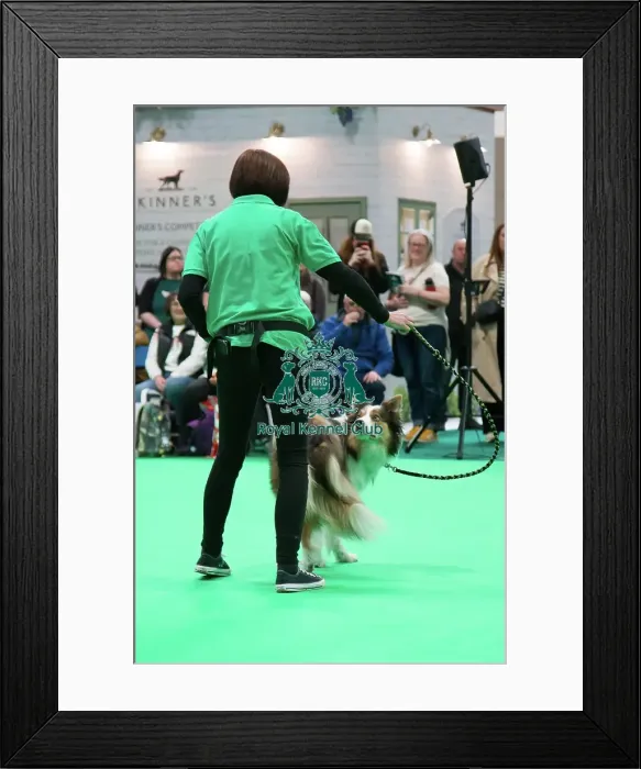 Framed Print : Have a go Rally Framed Print : Have a go Rally