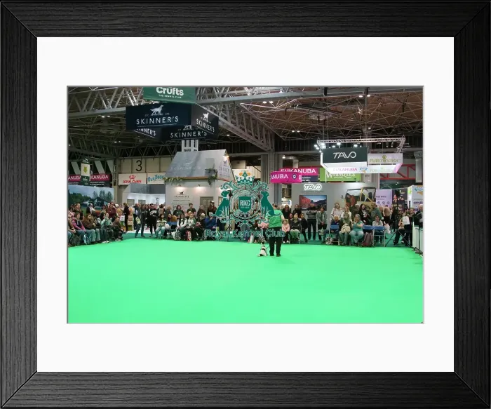 Framed Print : Crufts 2025, Friday 7th March - Have a go Rally