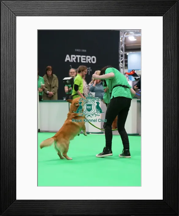 Framed Print : Have a go Rally Framed Print : Have a go Rally