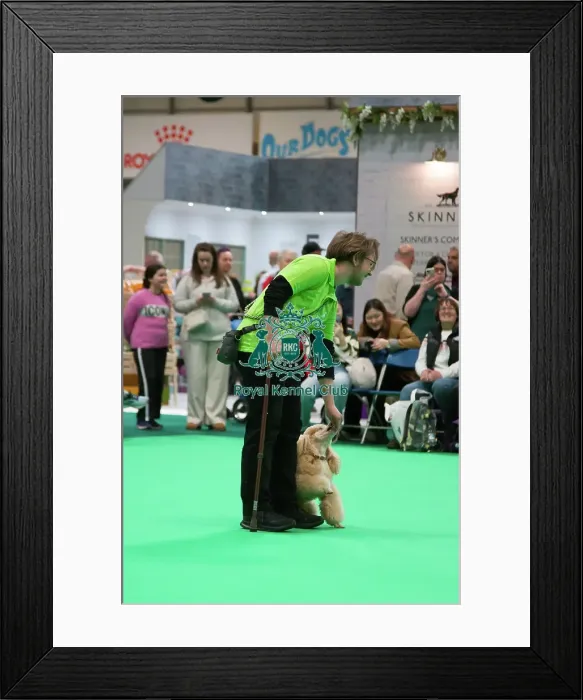 Framed Print : Crufts 2025, Friday 7th March - Have a go Rally Framed Print : Crufts 2025, Friday 7th March - Have a go Rally