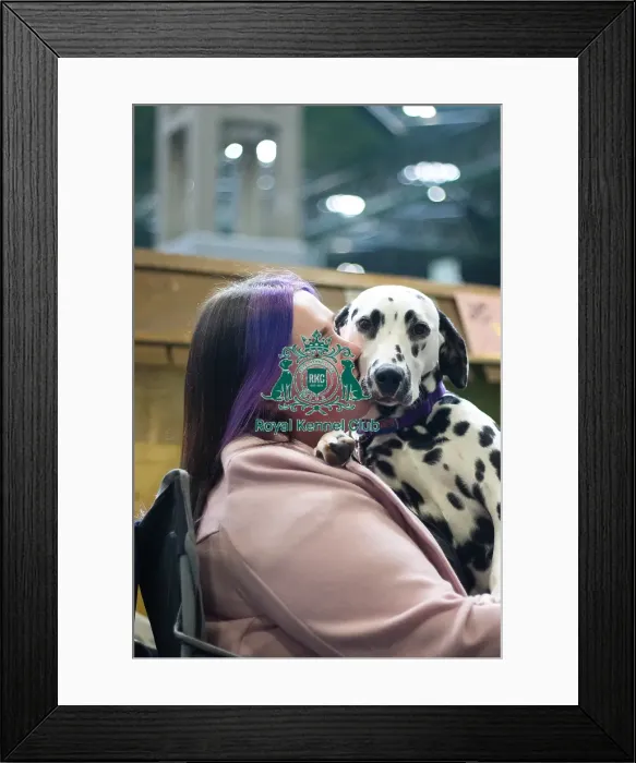 Framed Print : Girl with her Dalmatian Framed Print : Girl with her Dalmatian