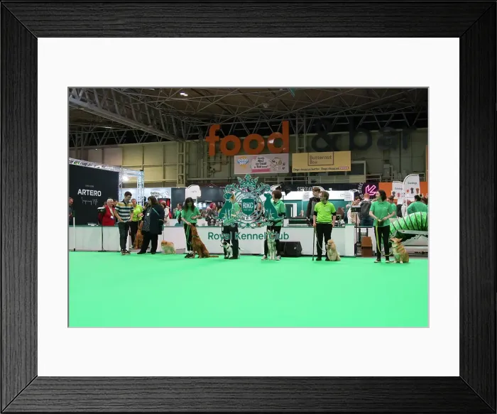 Framed Print : Crufts 2025, Friday 7th March - Have a go Rally