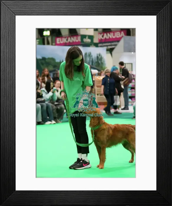 Framed Print : Crufts 2025, Friday 7th March - Have a go Rally Framed Print : Crufts 2025, Friday 7th March - Have a go Rally