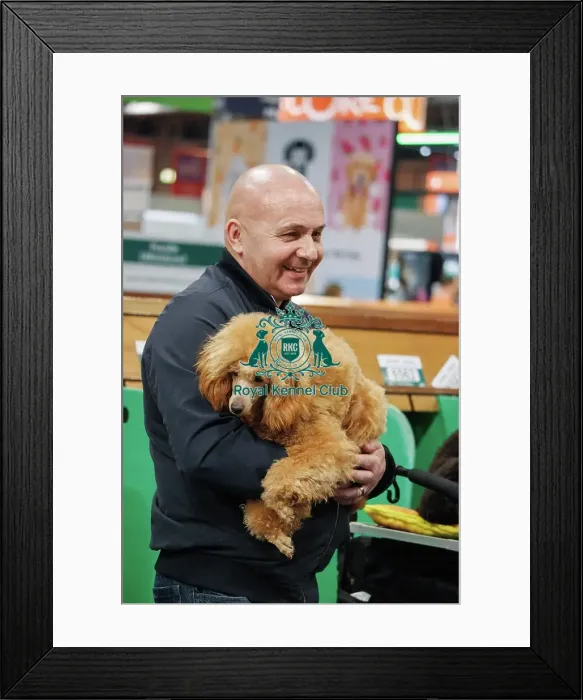 Framed Print : Dog in owners arms Framed Print : Dog in owners arms