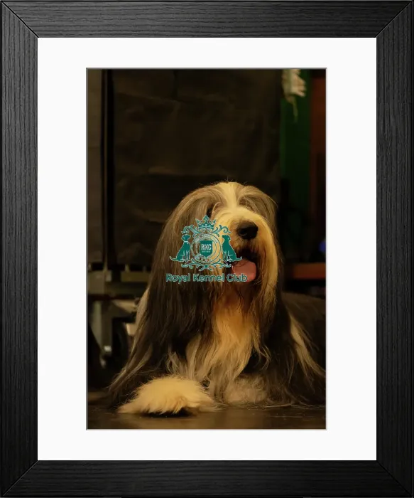 Framed Print : Working & Pastoral Working & Pastoral Framed Print : Working & Pastoral Working & Pastoral