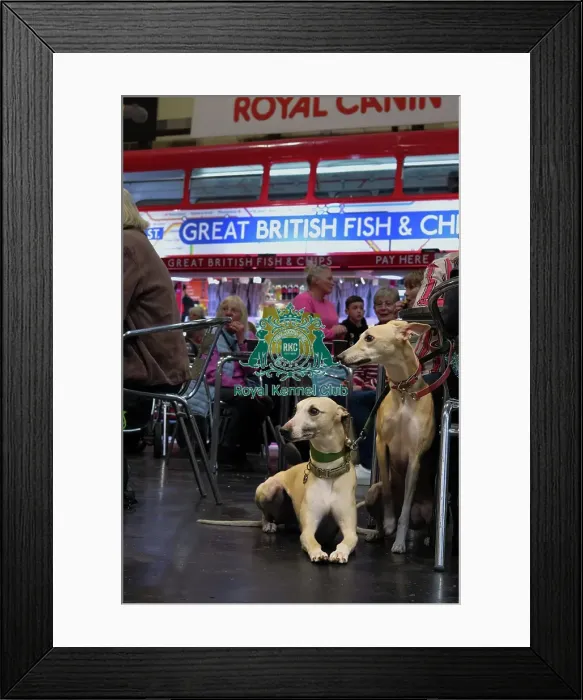Framed Print : Great British Fish and Chips - Hall 1 Framed Print : Great British Fish and Chips - Hall 1