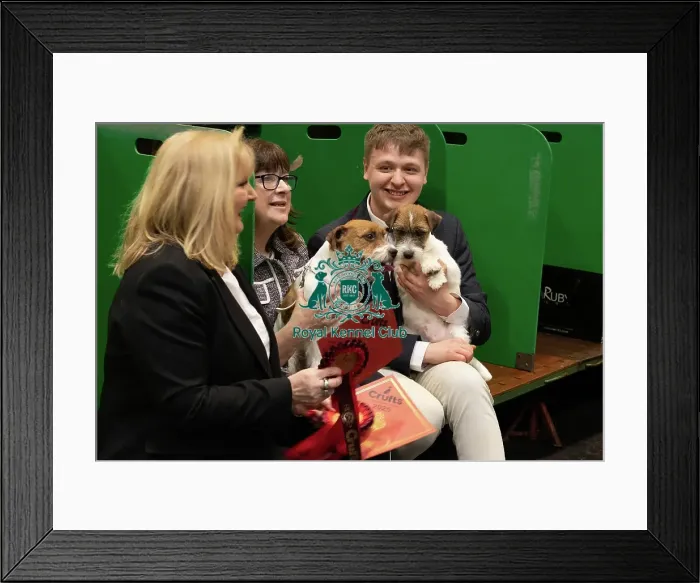 Framed Print : Parson Russell Terrier Framed Print : Parson Russell Terrier