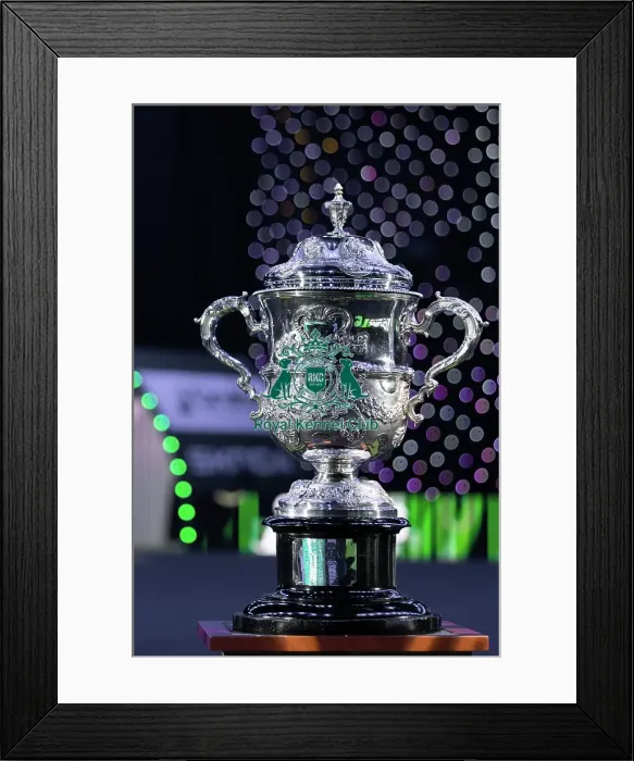 Framed Print : Crufts 2025 Trophy Framed Print : Crufts 2025 Trophy