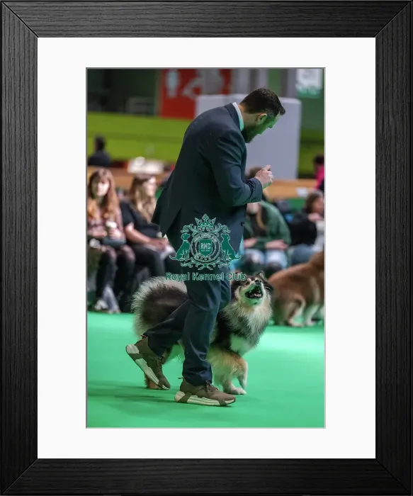 Framed Print : Ansalfrose Jani Framed Print : Ansalfrose Jani