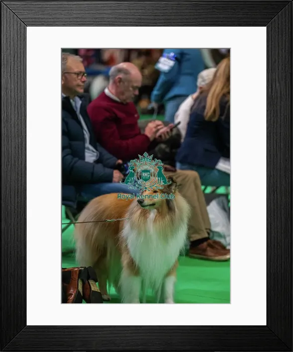 Framed Print : Gataj Majestic Hope Framed Print : Gataj Majestic Hope