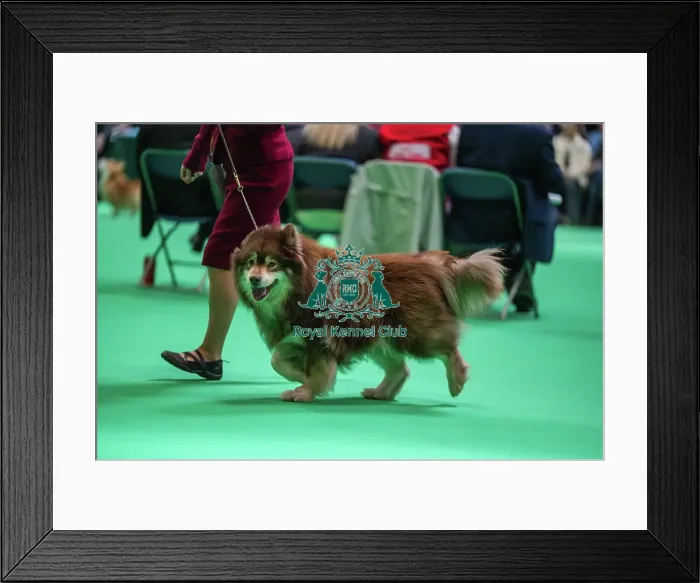 Framed Print : Oberitz Upponalle Framed Print : Oberitz Upponalle