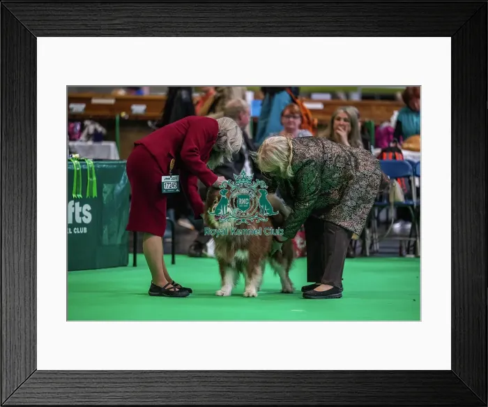 Framed Print : Oberitz Upponalle Framed Print : Oberitz Upponalle