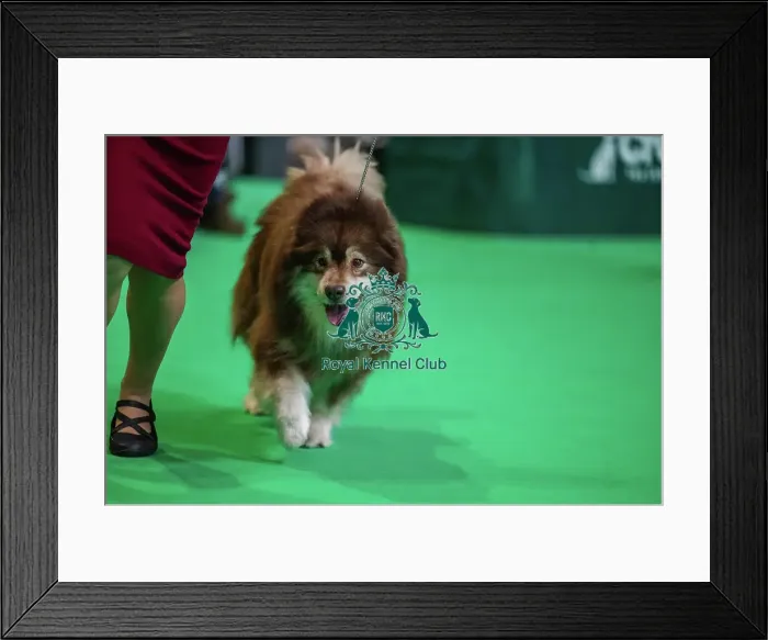 Framed Print : Oberitz Upponalle Framed Print : Oberitz Upponalle