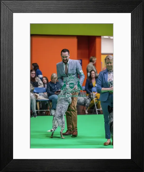 Framed Print : Goorialla's Dream Belfagor Goorialla's Dream Belfagor Framed Print : Goorialla's Dream Belfagor Goorialla's Dream Belfagor
