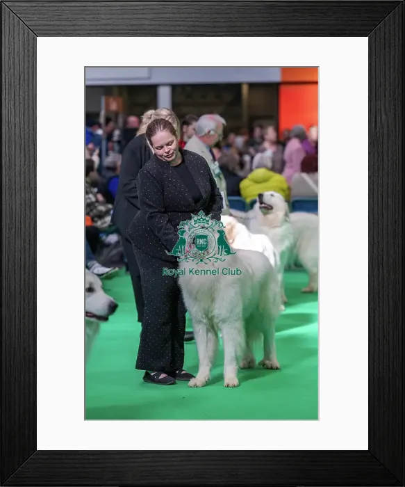 Framed Print : Pafaxen A Million Dreams JW Framed Print : Pafaxen A Million Dreams JW