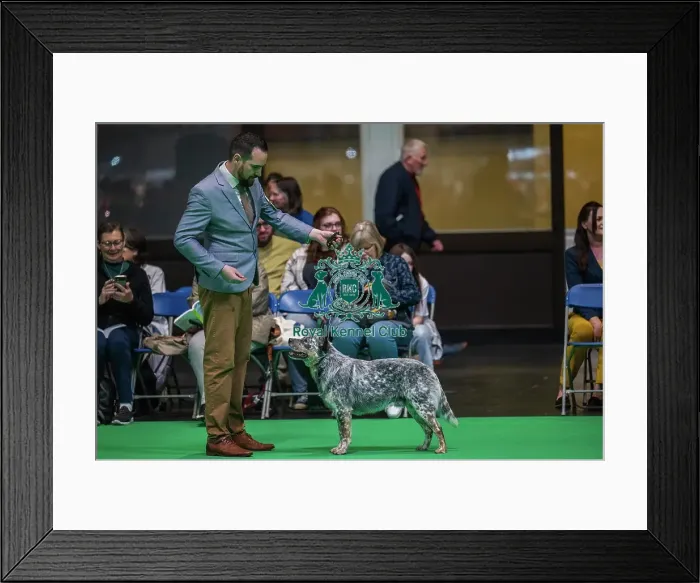 Framed Print : Goorialla's Dream Belfagor Goorialla's Dream Belfagor Framed Print : Goorialla's Dream Belfagor Goorialla's Dream Belfagor