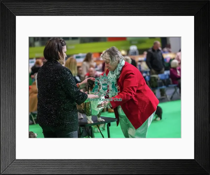 Framed Print : Ceranda Gower Diamond JW Framed Print : Ceranda Gower Diamond JW