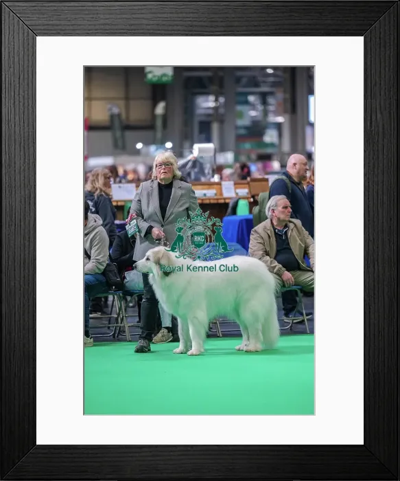 Framed Print : Gillandant Jasmine Framed Print : Gillandant Jasmine