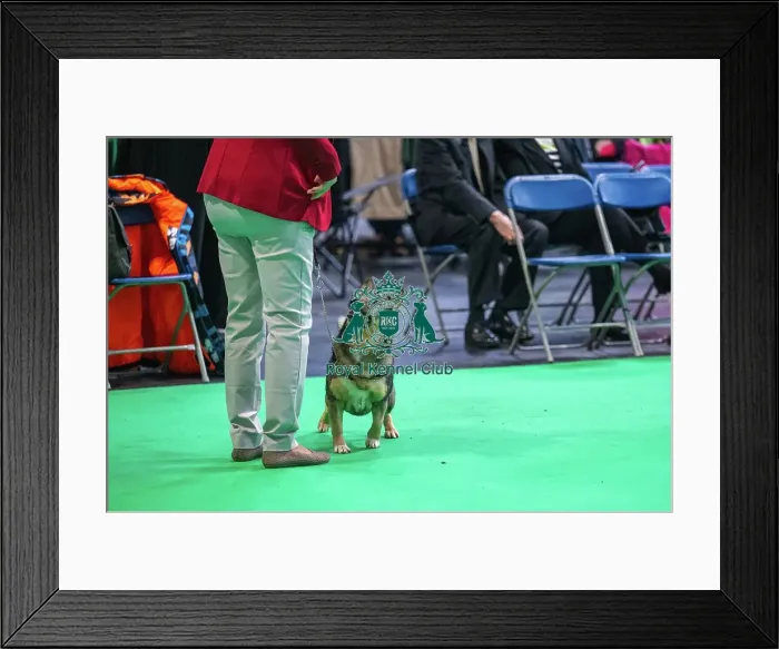 Framed Print : SE / DK / NU / FI / Nord Ch Danga's Ecke Goteson SE / DK / NU / FI / Nord Ch Danga's Ecke Goteson Framed Print : SE / DK / NU / FI / Nord Ch Danga's Ecke Goteson SE / DK / NU / FI / Nord Ch Danga's Ecke Goteson