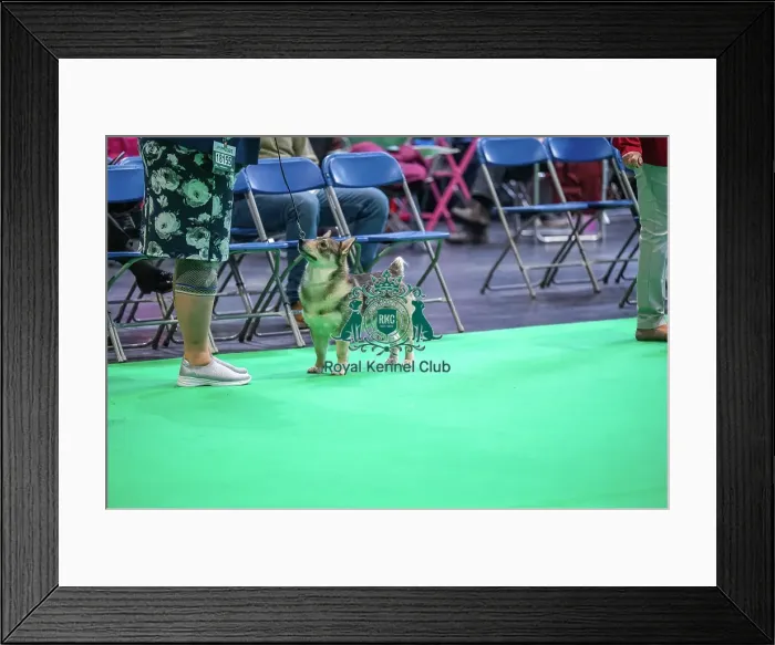 Framed Print : Ch Starvon Easy On The I Edison Framed Print : Ch Starvon Easy On The I Edison