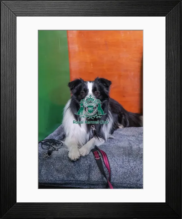 Framed Print : Simaro Jameson