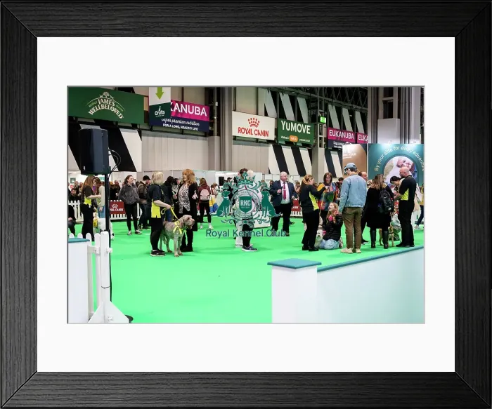 Framed Print : The Safe And Sound Scheme In The Good Citizen Ring Framed Print : The Safe And Sound Scheme In The Good Citizen Ring
