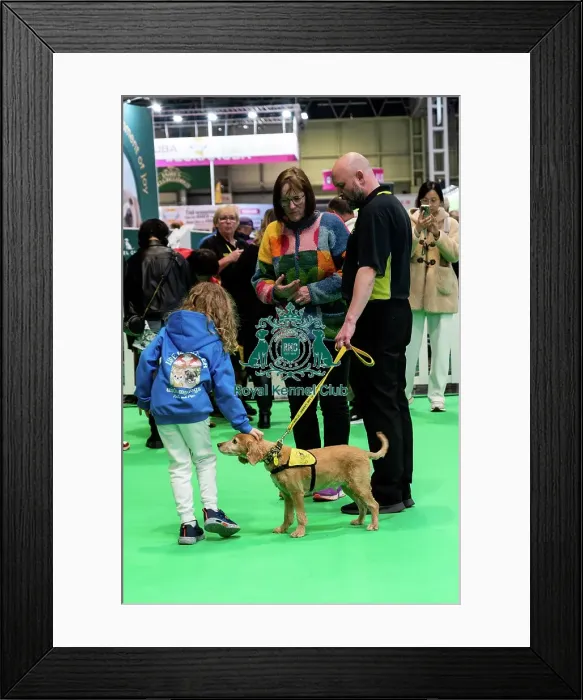 Framed Print : The Safe And Sound Scheme In The Good Citizen Ring Framed Print : The Safe And Sound Scheme In The Good Citizen Ring