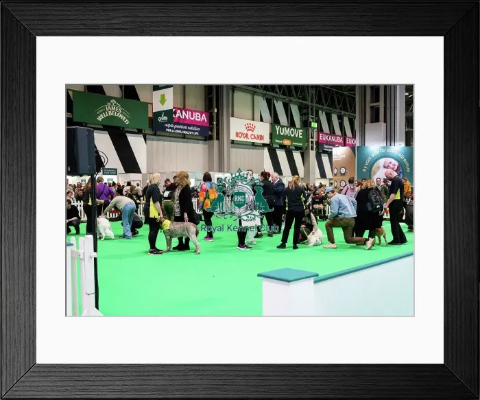 Framed Print : The Safe And Sound Scheme In The Good Citizen Ring Framed Print : The Safe And Sound Scheme In The Good Citizen Ring