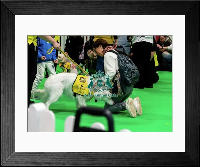 Framed Print : The Safe And Sound Scheme In The Good Citizen Ring Framed Print : The Safe And Sound Scheme In The Good Citizen Ring