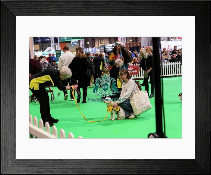 Framed Print : The Safe And Sound Scheme In The Good Citizen Ring Framed Print : The Safe And Sound Scheme In The Good Citizen Ring