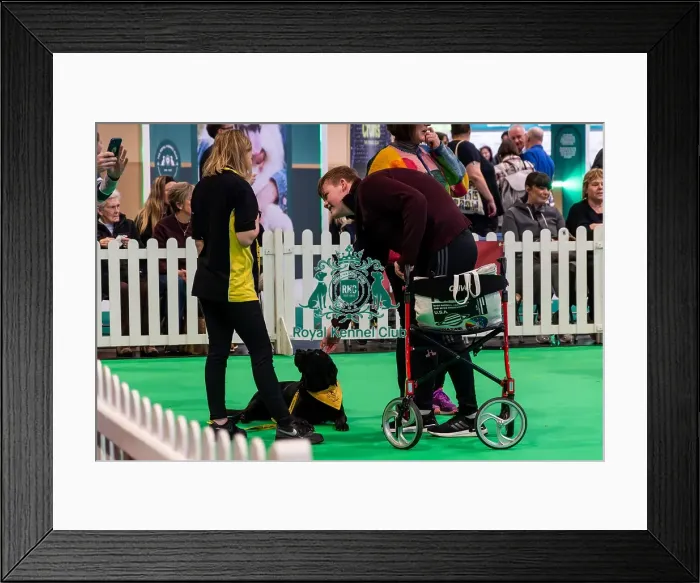 Framed Print : The Safe And Sound Scheme In The Good Citizen Ring Framed Print : The Safe And Sound Scheme In The Good Citizen Ring