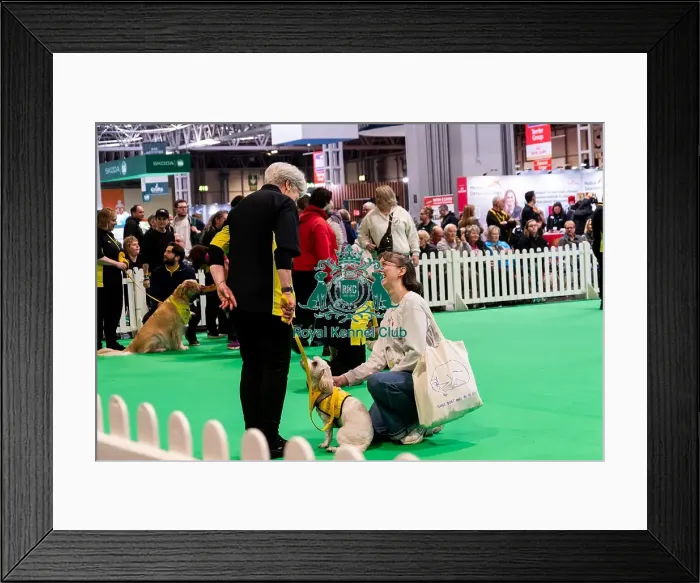Framed Print : The Safe And Sound Scheme In The Good Citizen Ring Framed Print : The Safe And Sound Scheme In The Good Citizen Ring