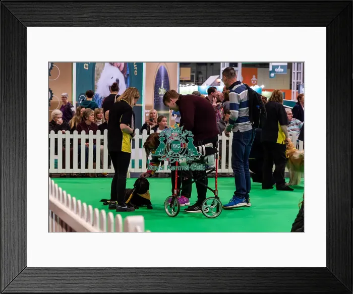 Framed Print : The Safe And Sound Scheme In The Good Citizen Ring