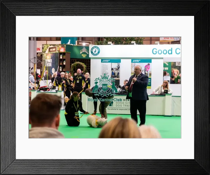 Framed Print : The Safe And Sound Scheme In The Good Citizen Ring