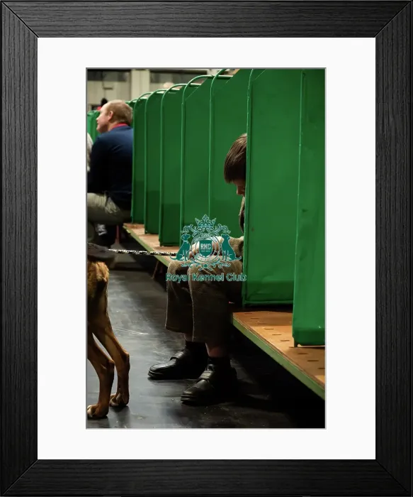 Framed Print : A Tired Boy With His Hamiltonsvare Framed Print : A Tired Boy With His Hamiltonsvare