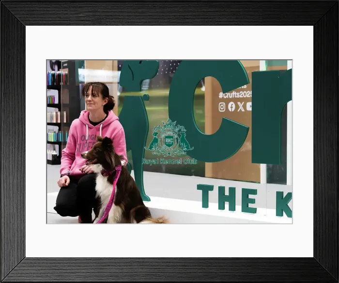 Framed Print : Owners Posing With Their Border Collie In Front Of The Crufts Banner Framed Print : Owners Posing With Their Border Collie In Front Of The Crufts Banner