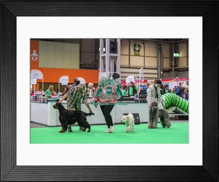 Framed Print : Ring Behaviour Framed Print : Ring Behaviour