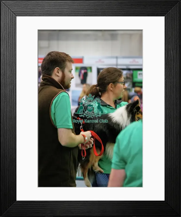 Framed Print : Have a go Agility Framed Print : Have a go Agility