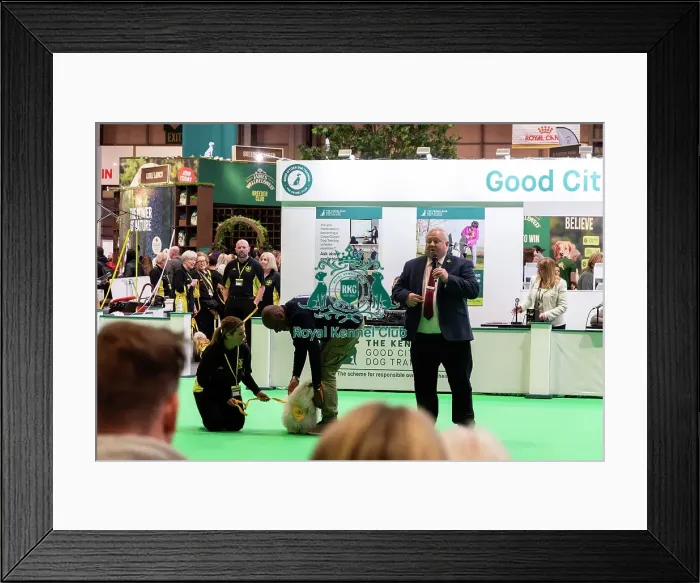 Framed Print : The Safe And Sound Scheme In The Good Citizen Ring