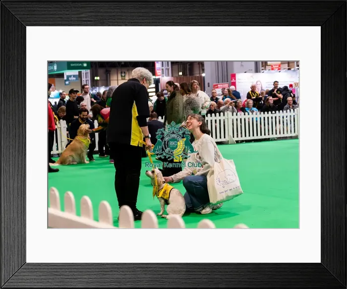 Framed Print : The Safe And Sound Scheme In The Good Citizen Ring
