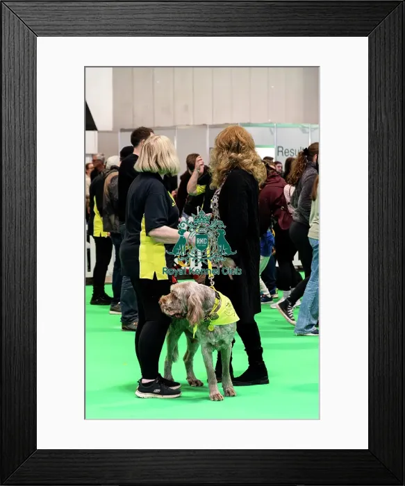 Framed Print : The Safe And Sound Scheme In The Good Citizen Ring