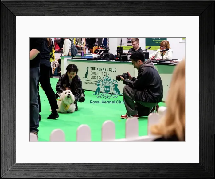 Framed Print : The Safe And Sound Scheme In The Good Citizen Ring